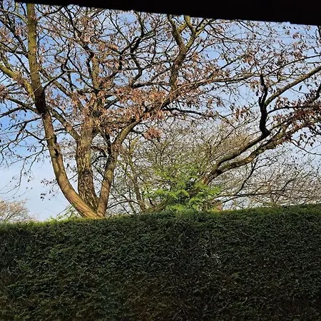 דירה Zentrale Messewohnung Im Wunderschoenen Vorort *