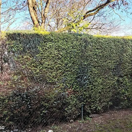 Zentrale Messewohnung Im Wunderschoenen Vorort דירה *